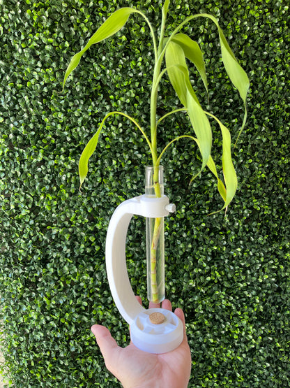 Modern floating Tube planter - vascular plants - 3D Props Play